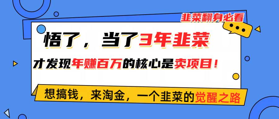 悟了，当了3年韭菜，才发现网赚圈年赚100万的核心是卖项目，含泪分享！-思维屋-分享无限项目创意