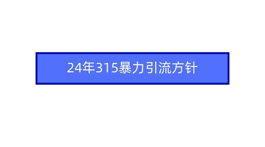 2024年315暴力引流方针-思维屋-分享无限项目创意