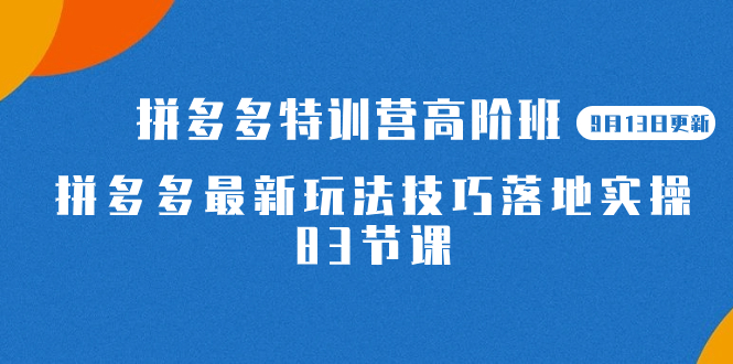 2023拼多多·特训营高阶班【9月13日更新】拼多多最新玩法技巧落地实操-83节-思维屋-分享无限项目创意