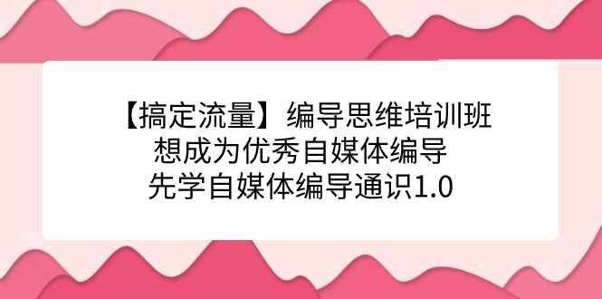 【搞定流量】编导思维培训班，想成为优秀自媒体编导先学自媒体编导通识1.0-思维屋-分享无限项目创意