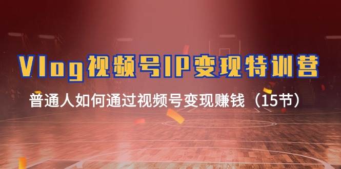 Vlog 视频号IP变现特训营，普通人如何通过视频号变现赚钱（15节）-思维屋-分享无限项目创意