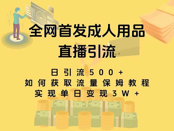 最新全网独创首发，成人用品直播引流获客暴力玩法，单日变现3w保姆级教程-思维屋-分享无限项目创意