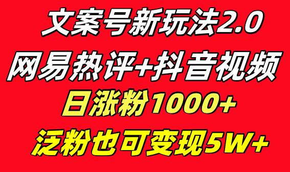 文案号新玩法 网易热评+抖音文案 一天涨粉1000+ 多种变现模式 泛粉也可变现-思维屋-分享无限项目创意