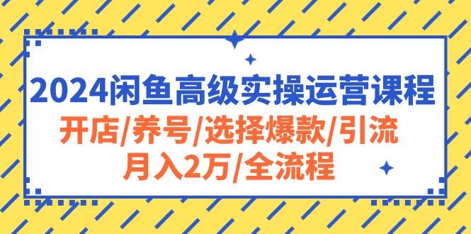 2024闲鱼高级实操运营课程：开店/养号/选择爆款/引流/月入2万/全流程-思维屋-分享无限项目创意