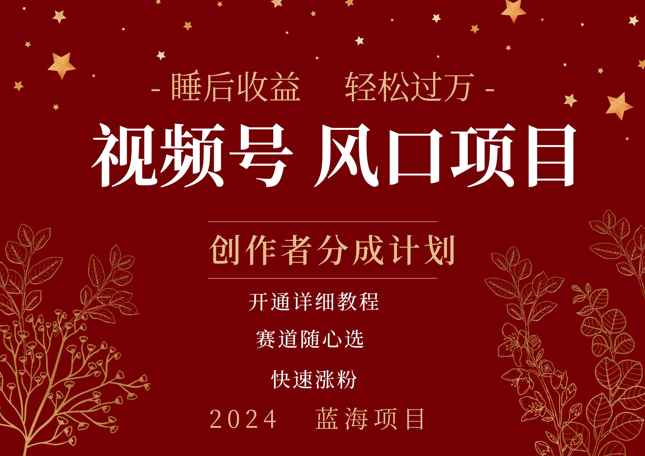 拥有睡眠收益的微信视频号大风口项目，轻松月入过万+，多赛道选择，可矩阵，玩法简单轻松上手-思维屋-分享无限项目创意