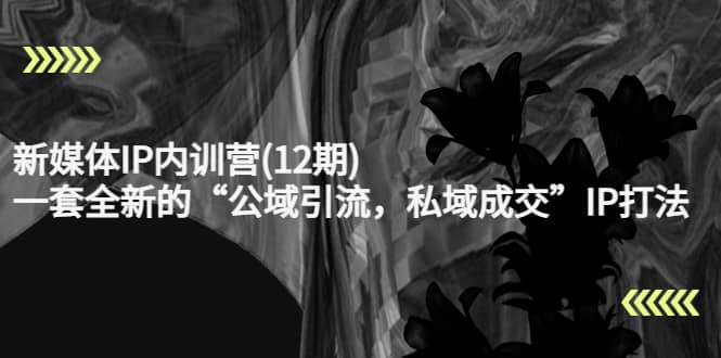 新媒体IP内训营(12期)，一套全新的“公域引流，私域成交”IP打法，直接带走-思维屋-分享无限项目创意