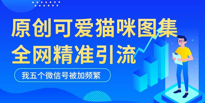 黑科技纯原创可爱猫咪图片，全网精准引流，实操5个VX号被加频繁-思维屋-分享无限项目创意