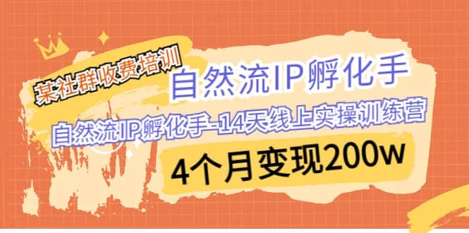某社群收费培训：自然流IP 孵化手-14天线上实操训练营 4个月变现200w-思维屋-分享无限项目创意