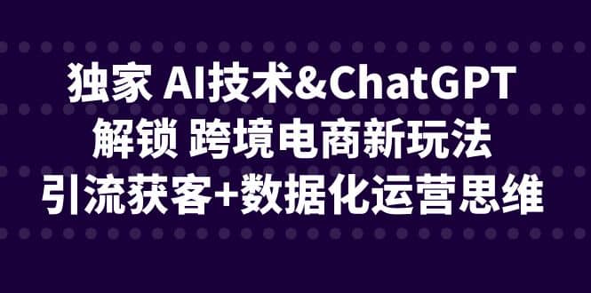 独家 AI技术ChatGPT解锁 跨境电商新玩法，引流获客+数据化运营思维-思维屋-分享无限项目创意