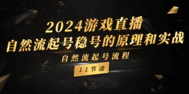 2024游戏直播-自然流起号稳号的原理和实战，自然流起号流程（11节）-思维屋-分享无限项目创意