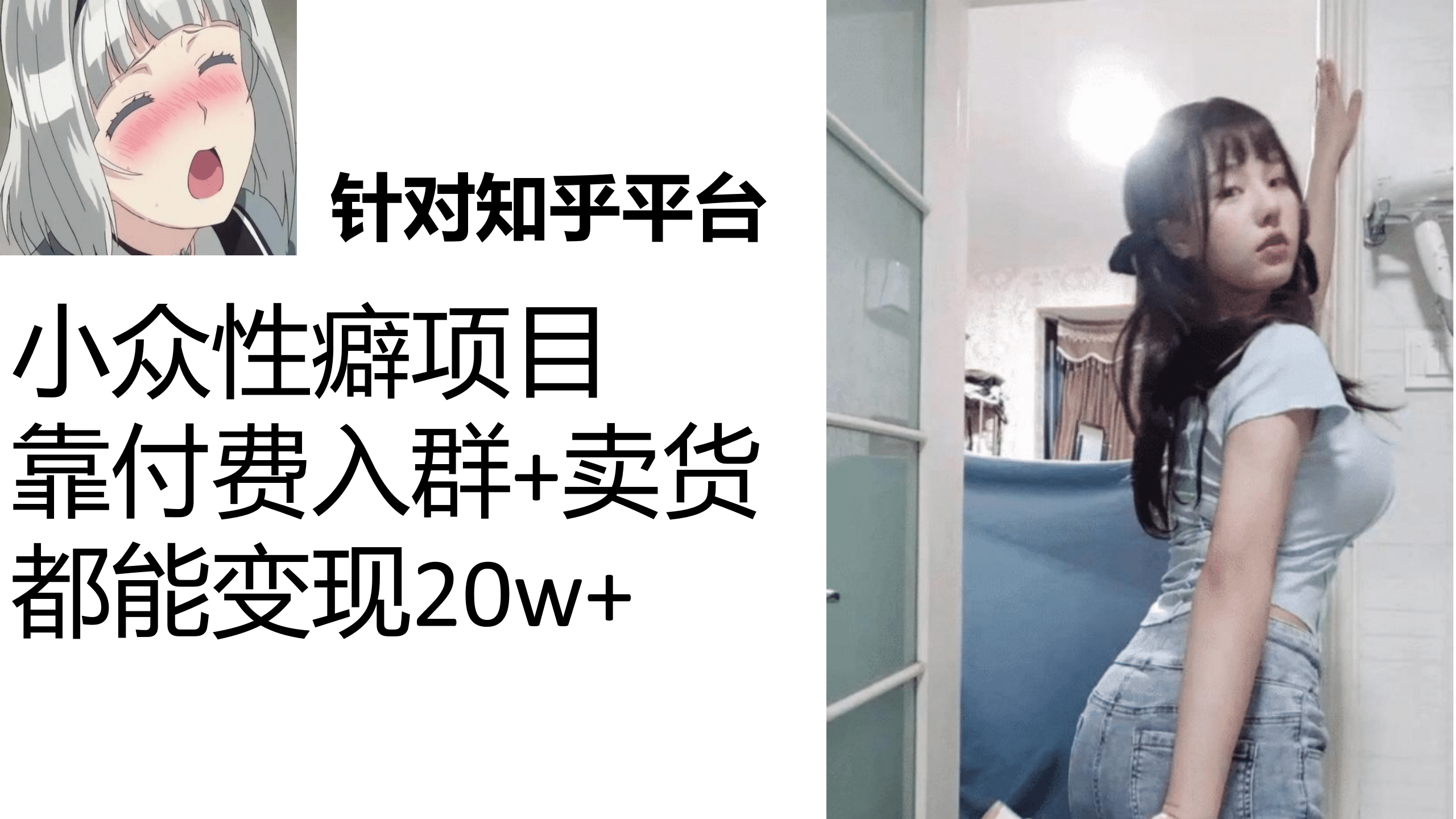 知乎小众性癖项目，Lsp的钱才是最好赚的，付费建群+卖货变现20w-思维屋-分享无限项目创意