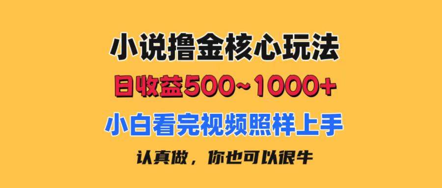 小说撸金核心玩法，日收益500-1000+，小白看完照样上手，0成本有手就行-思维屋-分享无限项目创意