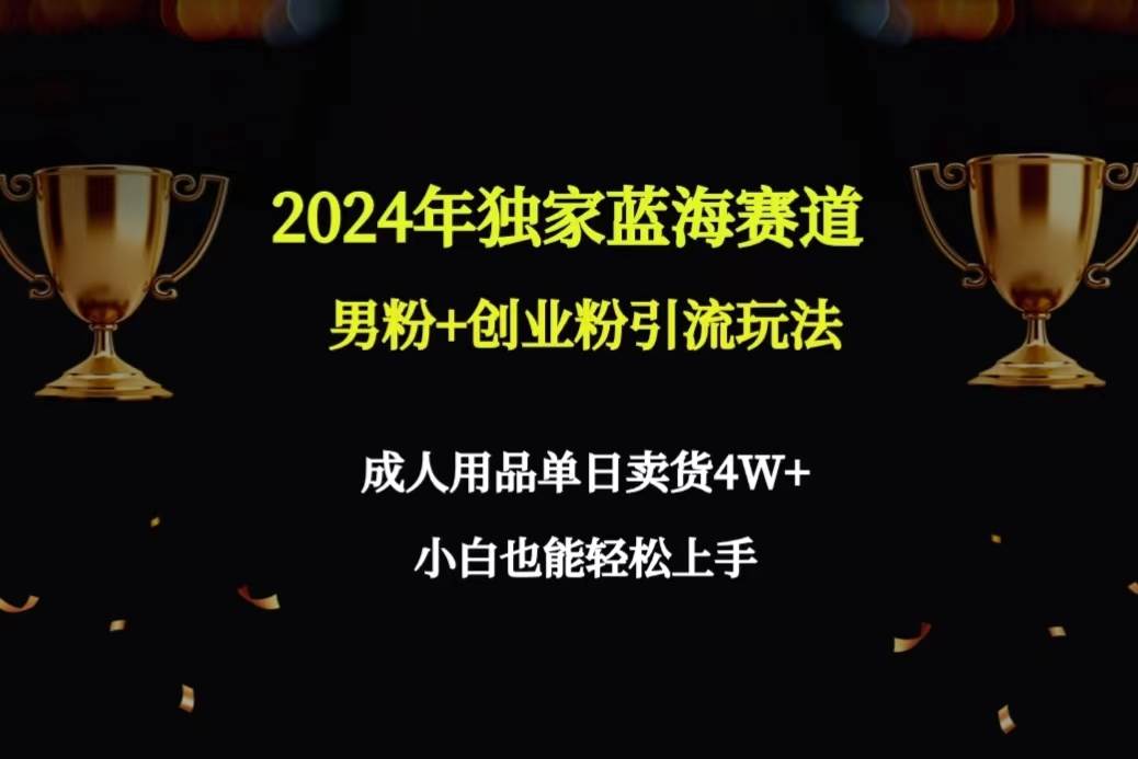 2024年独家蓝海赛道男粉+创业粉引流玩法，成人用品单日卖货4W+保姆教程-思维屋-分享无限项目创意