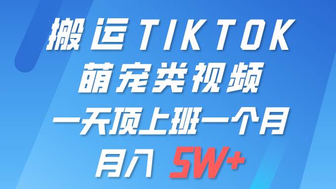 一键搬运TIKTOK萌宠类视频 一部手机即可操作 所有平台均可发布 轻松月入5W+-思维屋-分享无限项目创意