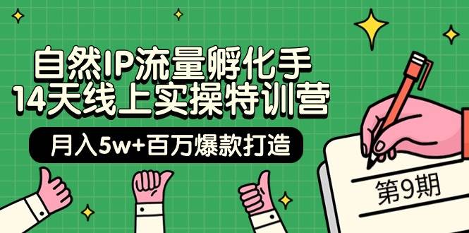 自然IP流量孵化手 14天线上实操特训营【第9期】月入5w+百万爆款打造 (74节)-思维屋-分享无限项目创意