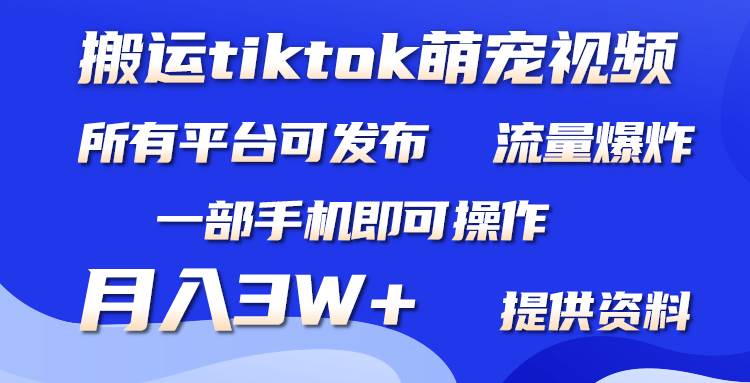 搬运Tiktok萌宠类视频，一部手机即可。所有短视频平台均可操作，月入3W+-思维屋-分享无限项目创意