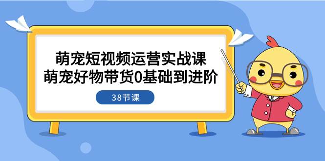 萌宠·短视频运营实战课：萌宠好物带货0基础到进阶（38节课）-思维屋-分享无限项目创意