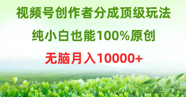 视频号创作者分成顶级玩法，纯小白也能100%原创，无脑月入10000+-思维屋-分享无限项目创意