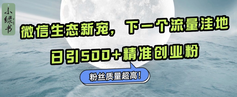 微信生态新宠小绿书：下一个流量洼地，粉丝质量超高，日引500+精准创业粉，-思维屋-分享无限项目创意