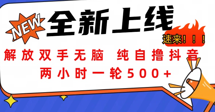 解放双手无脑 纯自撸抖音 两小时一轮500+-思维屋-分享无限项目创意