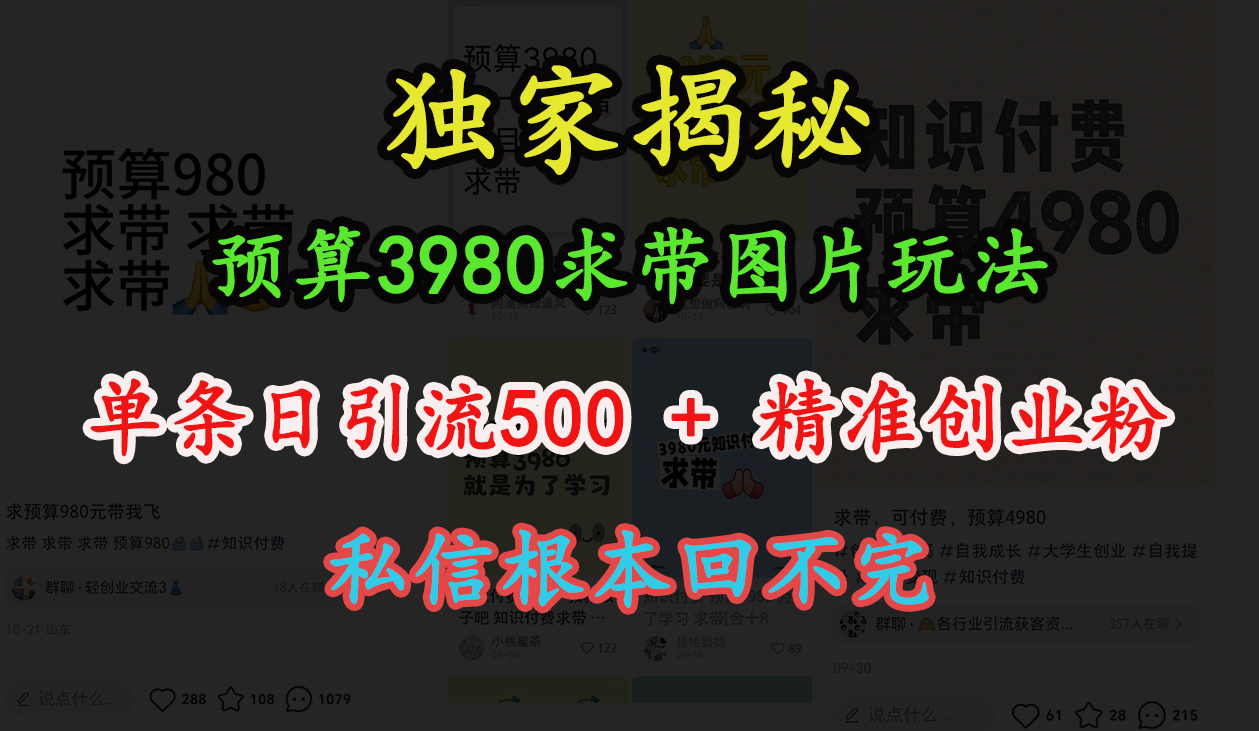 “小红书”预算3980求带 图片玩法,单条日引流500+精准创业粉,私信根本回不完-思维屋-分享无限项目创意