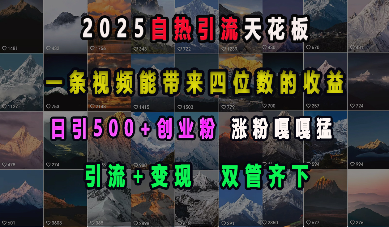 2025自热引流天花板，一条视频能带来四位数的收益，引流+变现双管齐下，日引500+创业粉，涨粉嘎嘎猛-思维屋-分享无限项目创意