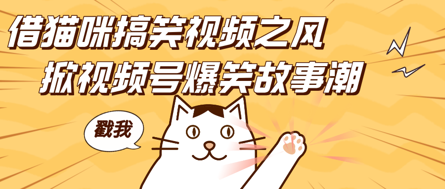 借猫咪搞笑视频之风,掀视频号爆笑故事潮,轻松日赚四位数,开启无门槛赚钱新体验!-思维屋-分享无限项目创意