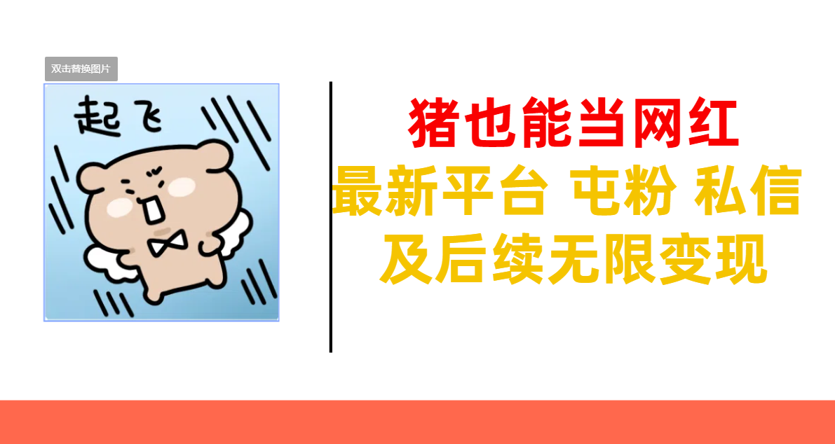 猪也能当网红-最新平台 屯粉 交流 私信 及后续无限变现-思维屋-分享无限项目创意