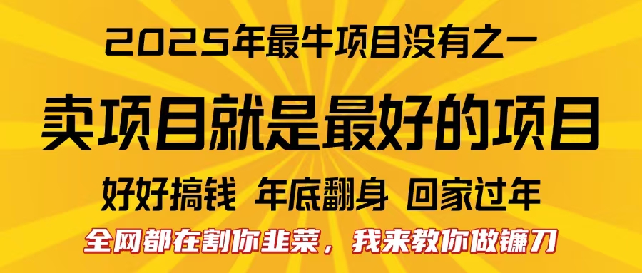 全网都在割你韭菜,我来教你做镰刀。卖项目就是最好的项目,2025年最牛互联网项目-思维屋-分享无限项目创意