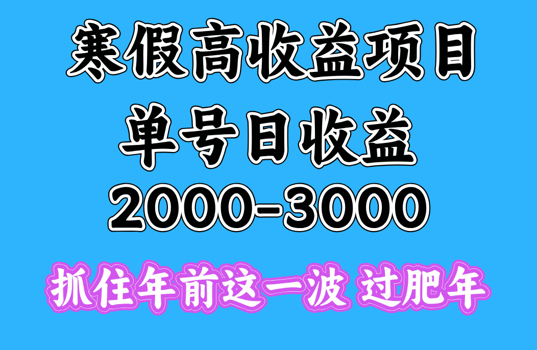 寒假期间一天收益2000-3000+，抓住年前这一波-思维屋-分享无限项目创意