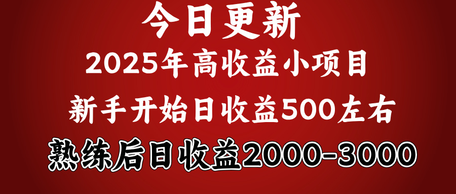 好项目一眼就能看出来，日收益1000，长久可做，2025拼的就是我比你勤奋-思维屋-分享无限项目创意