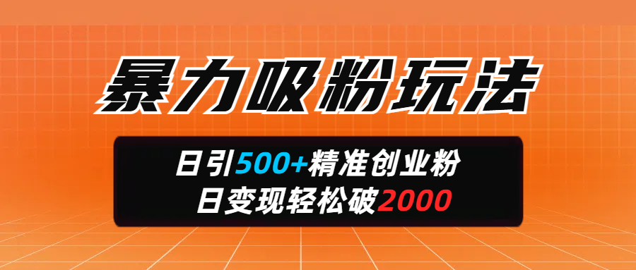 暴力吸粉玩法，日引500+精准创业粉，日变现轻松破2000-思维屋-分享无限项目创意