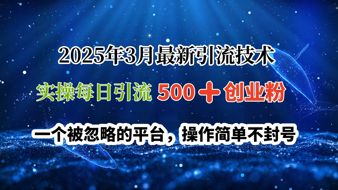 2025年3月最新引流技术，实操每日引流500➕创业粉，一个被忽略的平台，操作简单不封号-思维屋-分享无限项目创意