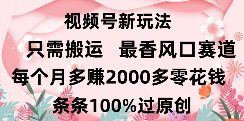 日入2000+，条条100%过原创，视频号最香风口赛道，小白轻松上手-思维屋-分享无限项目创意