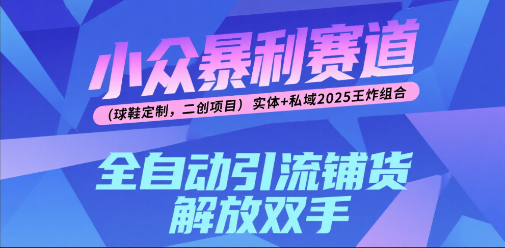 楠—小众暴利赛道（球鞋定制，二创项目）实体+私域2025王炸组合-思维屋-分享无限项目创意
