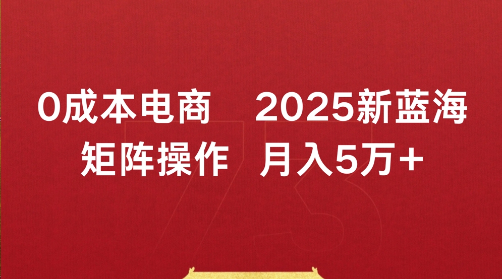 0成本电商2025新蓝海矩阵操作 月入5万+-思维屋-分享无限项目创意